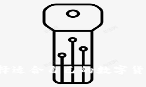 如何选择适合自己的数字货币钱包？