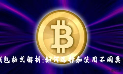 虚拟币钱包格式解析:如何选择和使用不同类型的钱包