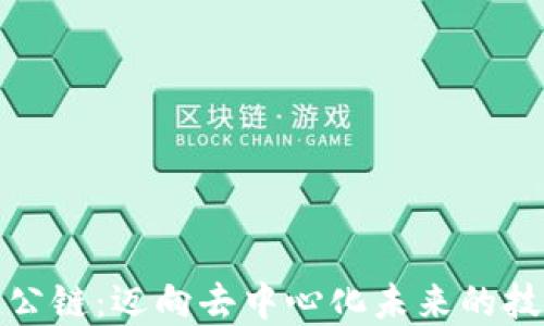
区块链公链：迈向去中心化未来的技术革命