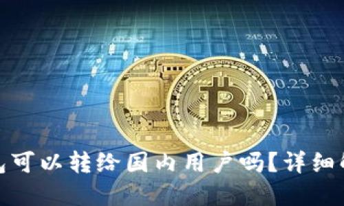 : 国外加密钱包可以转给国内用户吗?详细解读与操作指南