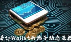 如何查看tpWallet的池子动态