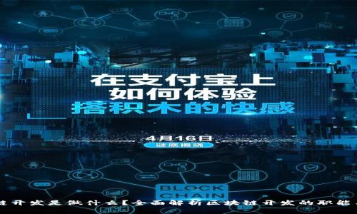 区块链开发是做什么?全面解析区块链开发的职能与应用