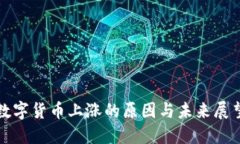 数字货币上涨的原因与未