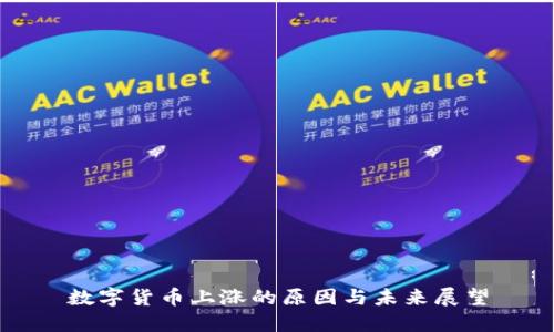 数字货币上涨的原因与未来展望