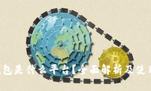 e宝钱包是什么平台？全面解析及使用指南