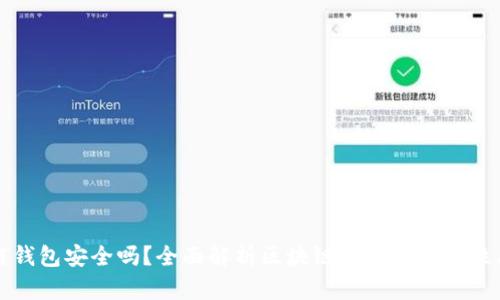 区块链钱包安全吗?全面解析区块链钱包的安全性与风险
