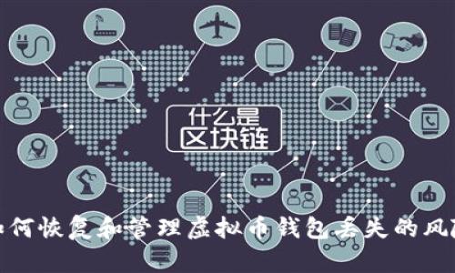 如何恢复和管理虚拟币钱包丢失的风险