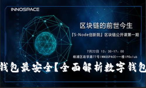 哪个数字钱包最安全?全面解析数字钱包的安全性