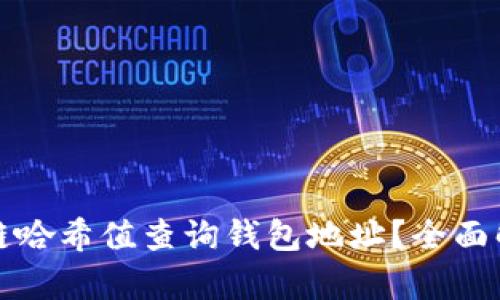 如何通过区块链哈希值查询钱包地址?全面解析与操作指南