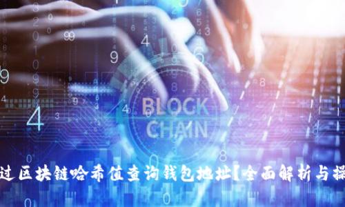 如何通过区块链哈希值查询钱包地址?全面解析与操作指南