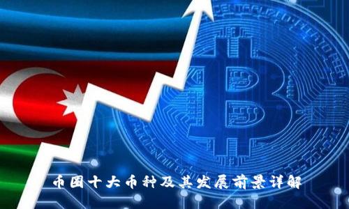 币圈十大币种及其发展前景详解