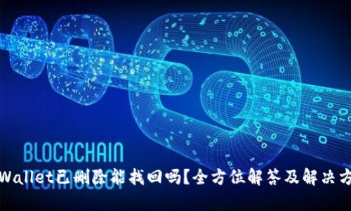 tpWallet已删除能找回吗?全方位解答及解决方案