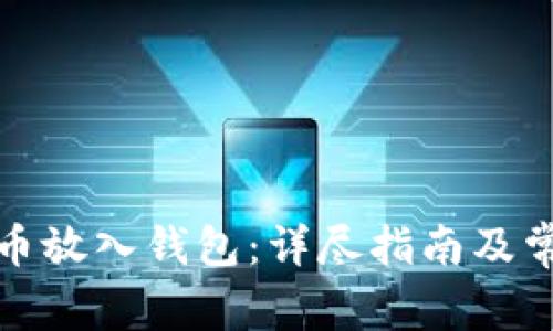 如何将虚拟币放入钱包：详尽指南及常见问题解答