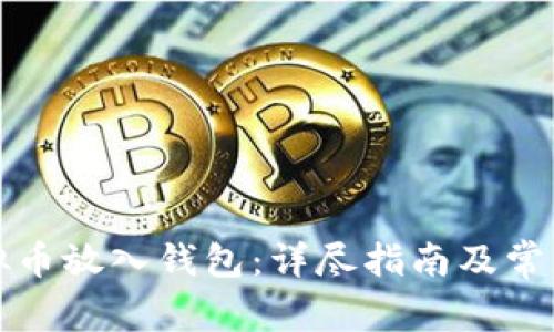 如何将虚拟币放入钱包：详尽指南及常见问题解答