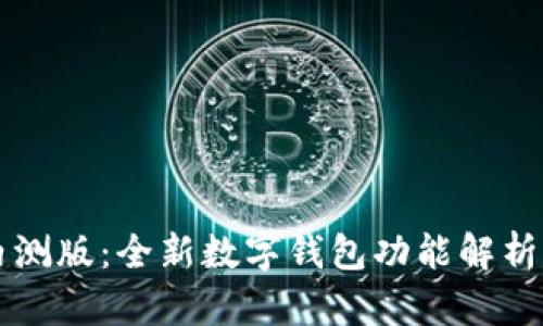 tpWallet内测版:全新数字钱包功能解析与使用指南