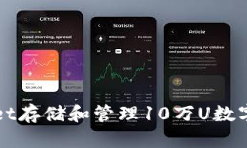 如何使用tpWallet存储和管理10万U数字资产的全面指南