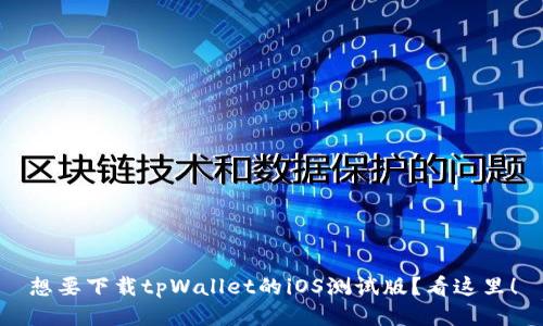 想要下载tpWallet的iOS测试版？看这里！