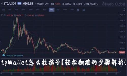 tpWallet怎么挂梯子？轻松翻墙的步骤解析！