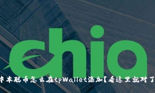 中本聪币怎么在tpWallet添加？看这里就对了！