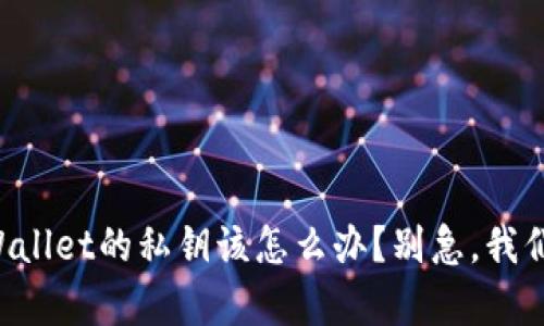 忘记tpWallet的私钥该怎么办?别急,我们来帮你!