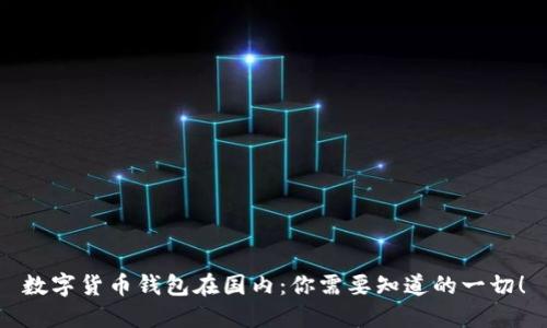 数字货币钱包在国内：你需要知道的一切！