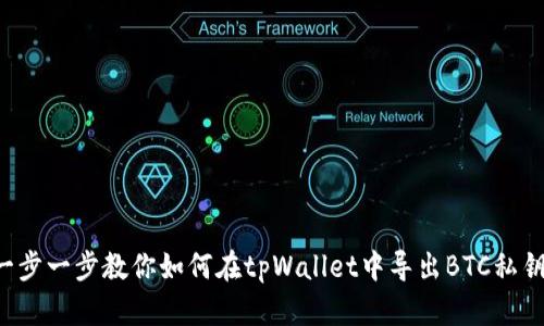 一步一步教你如何在tpWallet中导出BTC私钥!