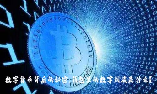 数字货币背后的秘密：钱包里的数字到底是什么？