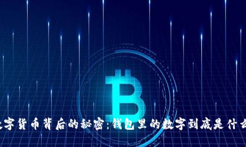 数字货币背后的秘密：钱包里的数字到底是什么？