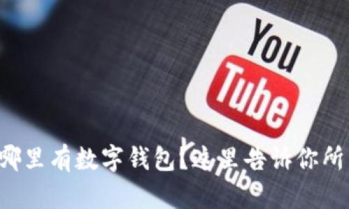 想知道哪里有数字钱包？这里告诉你所有选择！