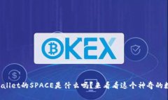 你知道tpWallet的SPACE是什么