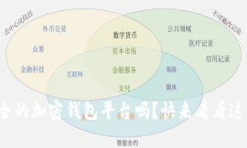 你知道哪些安全的加密钱包平台吗？快来看看这些可靠的选择！