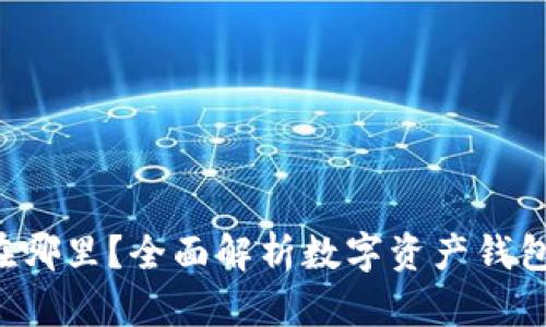 你的数字资产钱包在哪里？全面解析数字资产钱包的种类与使用技巧！