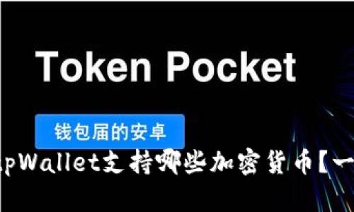 怎么查看tpWallet支持哪些加密货币?一起探索吧!