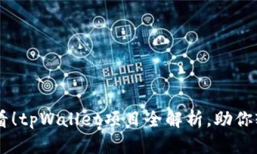 新手必看!tpWallet项目全解析,助你轻松上手