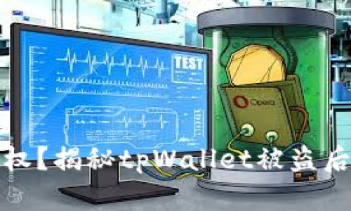 如何有效维权？揭秘tpWallet被盗后的应对策略