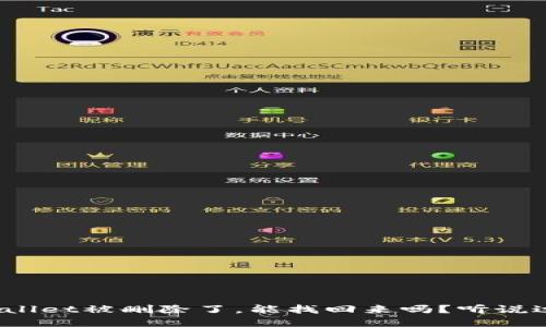 tpWallet被删除了，能找回来吗？听说过没？