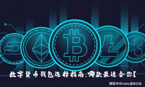数字货币钱包选择指南：哪款最适合你？