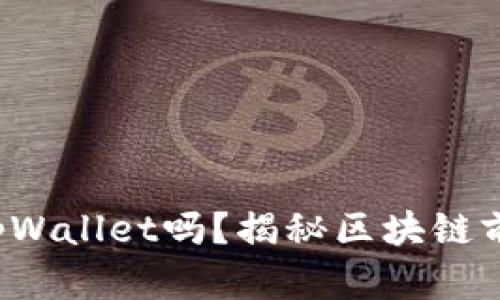 你了解tpWallet吗？揭秘区块链前十排名！