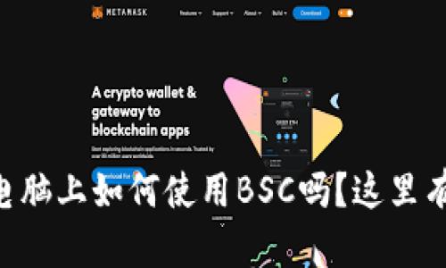 想知道tpWallet在电脑上如何使用BSC吗？这里有你最想知道的一切！