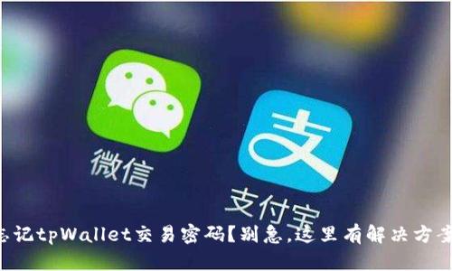 忘记tpWallet交易密码？别急，这里有解决方案！