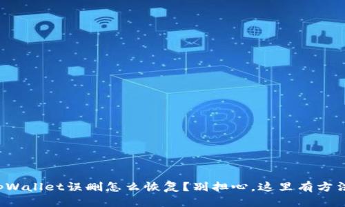 tpWallet误删怎么恢复?别担心,这里有方法!