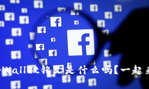 你知道tpWallet铭文是什么吗？一起来探讨吧！