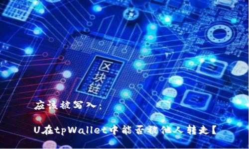 应该被写入：

U在tpWallet中能否被他人转走？