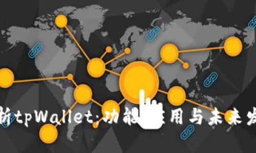 深入解析tpWallet：功能、应用与未来发展趋势