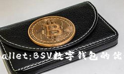 全面解读tpWallet：BSV数字钱包的优势和使用指南
