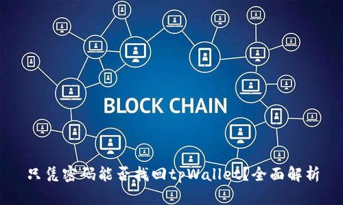 只凭密码能否找回tpWallet？全面解析