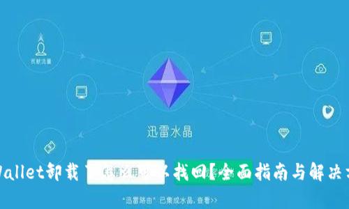 tpWallet卸载了怎么可以找回？全面指南与解决方案