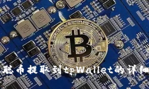 中本聪币提取到tpWallet的详细指南