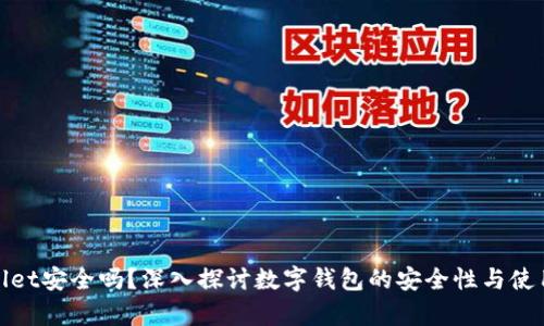 tpWallet安全吗？深入探讨数字钱包的安全性与使用风险