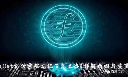 tpWallet支付密码忘记了怎么办？详解找回与重置方法